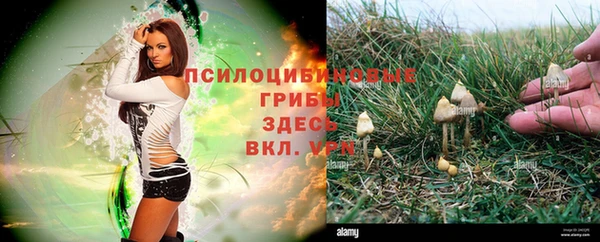 первитин Верхний Тагил
