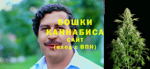 соль ск Бородино