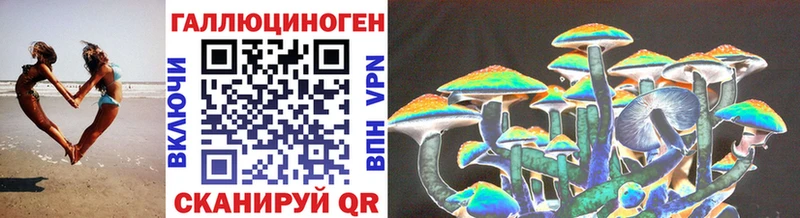 наркота Бородино маркетплейс наркотические препараты Псилоцибиновые грибы MAGIC MUSHROOMS hydra ссылки